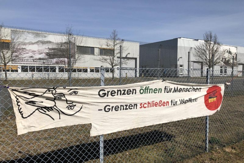 Rheinm2